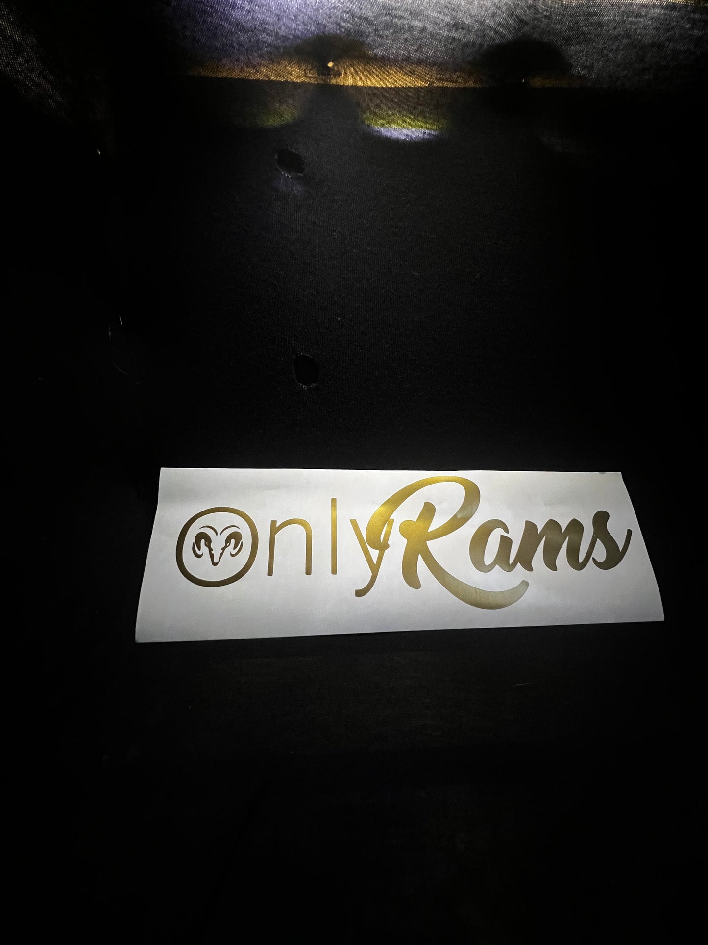 OnlyRams